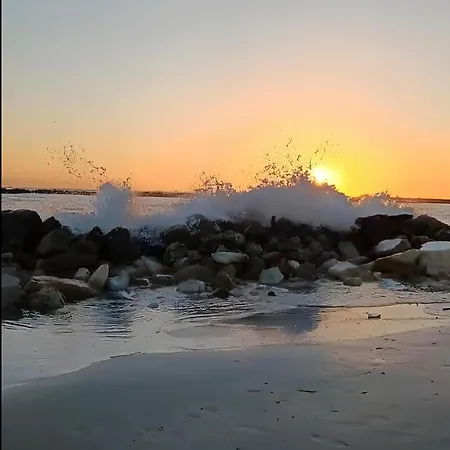 La Casa Gialla بيت للعطل *