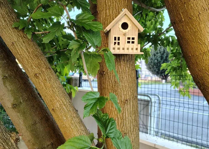 Prázdninový dům La Casa Gialla